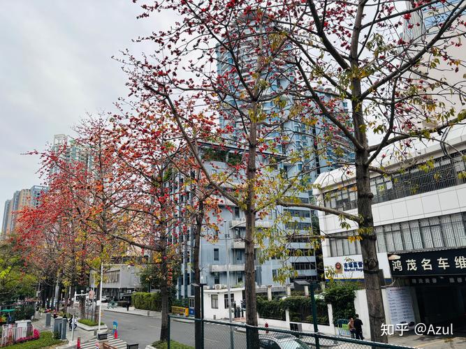 2025新澳门天天开奖免费和四栋民宅自燃71次与四栋民宅自燃71次什么意思